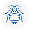 Bed Bug Extermination In Knutsford